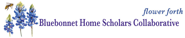 Homework help for flatland a romance 04 picture